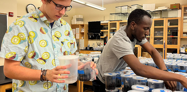 Two men feed some of the 800 spiders they have collected.