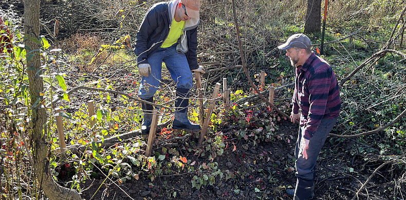 Matt Wilson, left, director of Susquehanna University's Freshwater Research Institute, assists in the building of a beaver dam analog.