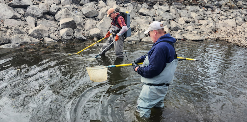 Two people wade in a river holding nets.